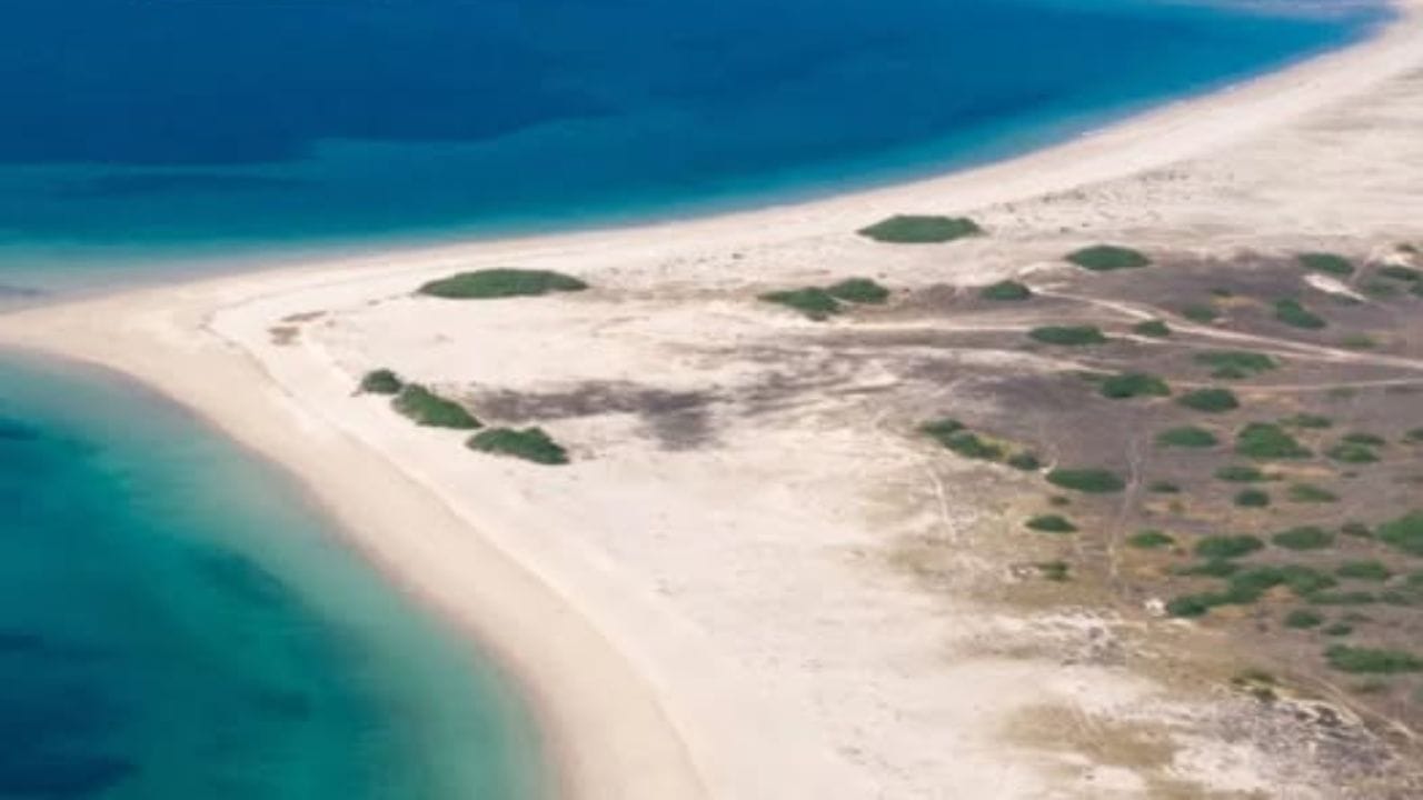  કેટલાક લોકો એવા હોય છે જેમને સોલો ટ્રાવેલ પસંદ હોય,જ્યારે કેટલાક એવા પણ હોય છે જેમને પરિવાર સાથે ફરવાનું વધારે ગમે છે. તો કોઈ કપલ કે ગર્લફ્રેન્ડ સાથે ફરવાનો પ્લાન બનાવે છે. જો તમે ન્યુયર સેલિબ્રેશન માટે સુંદર સ્થળ શોધી રહ્યા છો. તો શિવરાજ પુર બીચ બેસ્ટ ડેસ્ટિનેશન છે.