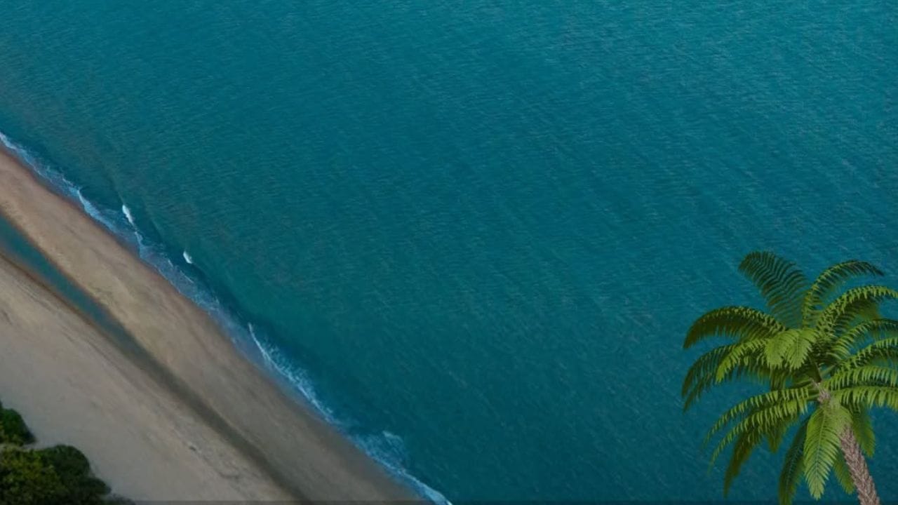 શિવરાજ પુર બીચને 'બ્લુ ફ્લેગ' બીચનો ટેગ મળ્યા બાદ અહી પ્રવાસીઓ મોટી સંખ્યામાં આવી રહ્યા છે. ગુજરાતના દરિયા કિનારે પ્રવાસન ધીરે ધીરે વધી રહ્યું છે.