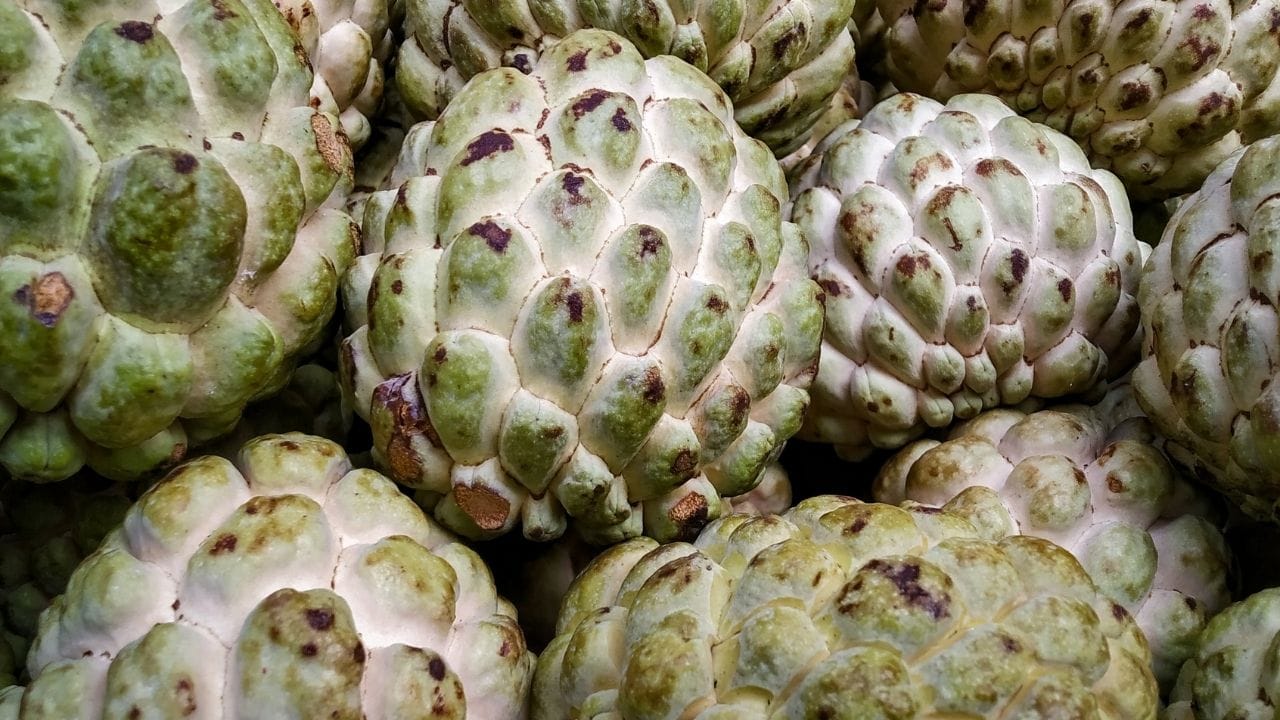 પ્રતિ 100 ગ્રામ સીતાફળમાં 94 કેલરી, 23-25 ​​ગ્રામ કાર્બોહાઇડ્રેટ્સ, 2-3 ગ્રામ ફાઇબર, 2 ગ્રામ પ્રોટીન, વિટામિન સી, પોટેશિયમ, મેગ્નેશિયમ, આયર્ન અને ઘણા એન્ટીઑકિસડન્ટ હોય છે.