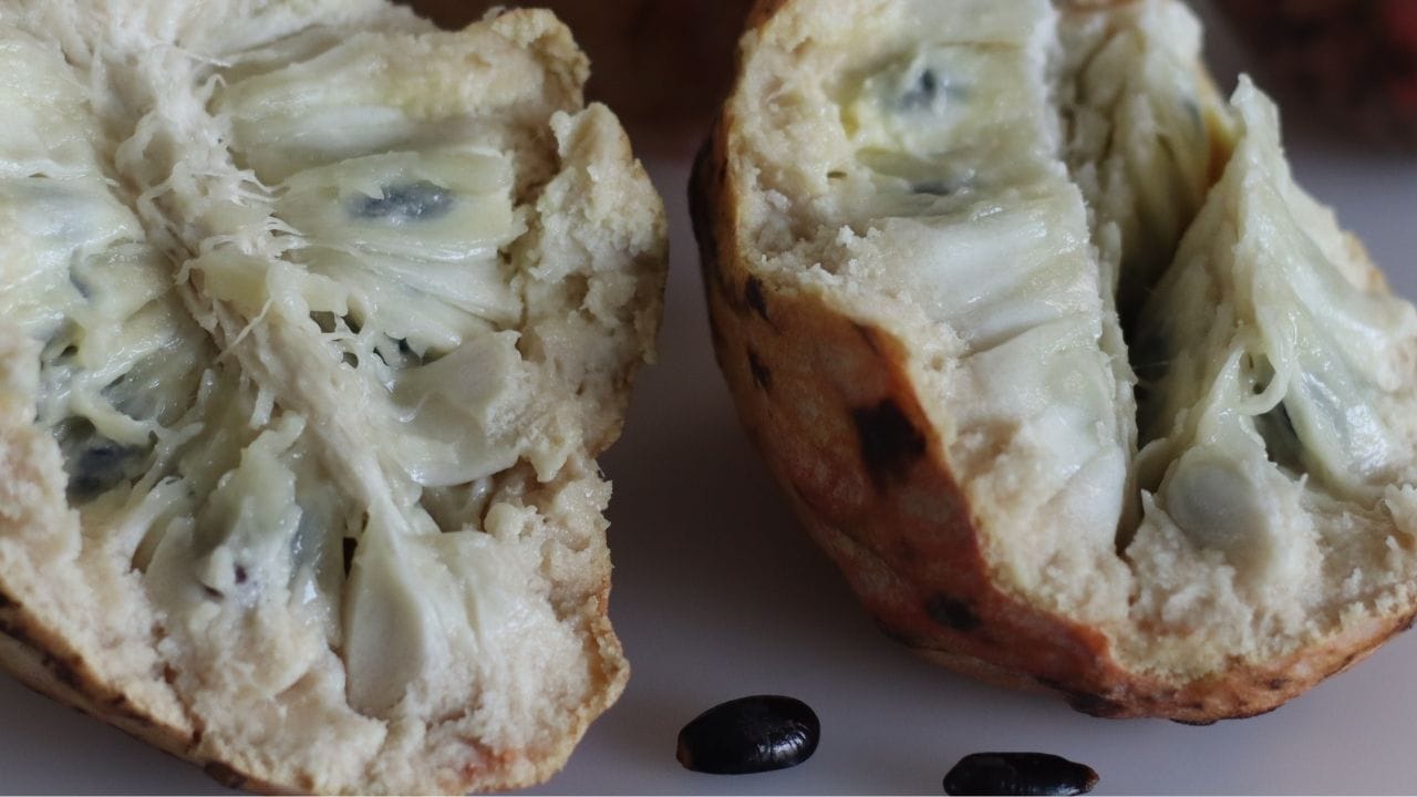 તેમાં ફાઇબર હોય છે, જે કબજિયાત અને એસિડિટીમાં રાહત આપે છે. જોકે તેનું પ્રમાણ ઓછું છે, જો યોગ્ય રીતે ખાવામાં આવે તો, આ ફળ પાચનતંત્રને મજબૂત બનાવવામાં પણ મદદ કરી શકે છે.