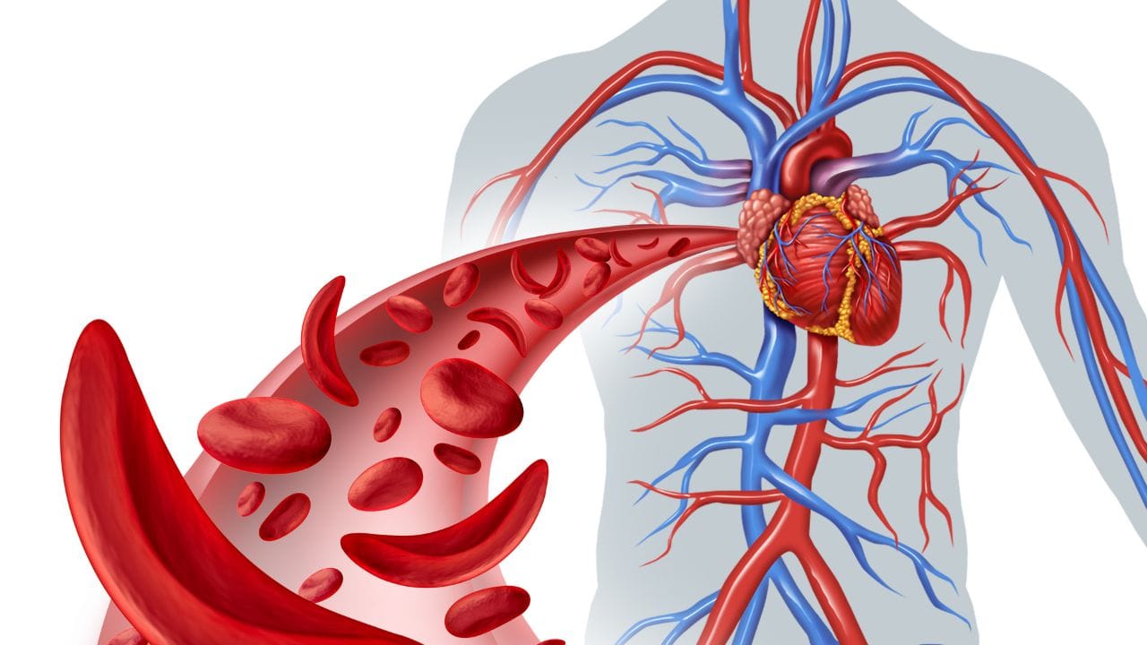 આ ફળ આપણા હૃદય માટે પણ સારું છે કારણ કે તેમાં પોટેશિયમ હોય છે. આ તત્વ બ્લડ પ્રેશરને નિયંત્રિત કરવામાં અને હૃદયના સ્વાસ્થ્યને સુધારવામાં મદદ કરે છે.