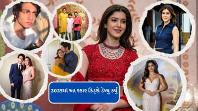 2025નું વર્ષ બોલિવૂડ માટે ખૂબ જ મહત્વપૂર્ણ રહ્યું છે. આ વર્ષે અનેક સેલિબ્રિટીઓએ ઈન્ડસ્ટ્રીમાં પ્રવેશ કર્યો છે, જેમાંના ઘણા સ્ટાર કિડ્સ છે. 2025માં શનાયા કપૂરથી લઈને અહાન પાંડે અને આર્યન ખાન સુધીના ઘણા સ્ટાર કિડ્સની એન્ટ્રી થઈ છે.