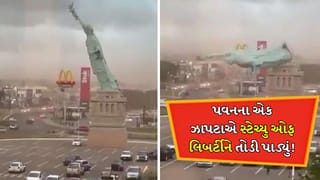ભારે પવનને કારણે તણખલાની જેમ પડી બ્રાઝિલની Statue Of Liberty, Viral Videoમાં જોવા મળ્યું અવિશ્વસનીય દ્રશ્ય!
