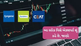 તમારી પાસે છે આ સ્ટોક ?