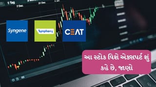Stock Forecast 2025 : જો સ્ટોકમાં રોકાણ કરવા માંગો છો, તો જોઈ લો એક્સપર્ટે શું કહે છે