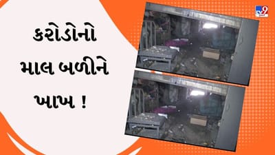 Surat : સુરતની રાજ ટેક્સટાઇલ માર્કેટમાં લાગેલી આગ કાબૂમાં, આગને કારણે કરોડોનો માલ બળીને ખાખ, જુઓ Video Surat : સુરતની રાજ ટેક્સટાઇલ માર્કેટમાં લાગેલી આગ કાબૂમાં, આગને કારણે કરોડોનો માલ બળીને ખાખ, જુઓ Video