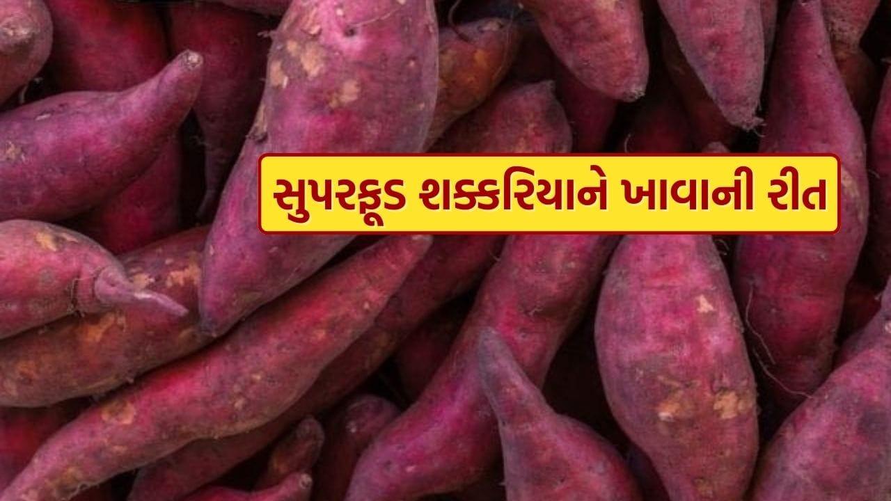 શિયાળાનું સુપરફૂડ શક્કરિયા પોષક તત્વોથી ભરપૂર હોય છે. તેમાં સૌથી વધુ ડાયેટરી ફાઇબર હોય છે. તેમાં વિટામિન સી હોય છે, જે રોગપ્રતિકારક શક્તિ વધારે છે. તેમાં વિટામિન A અને B6 જેવા અન્ય ઘણા પોષક તત્વો પણ હોય છે.