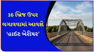 જાગ્યા ત્યારથી સવાર! અમદાવાદ મનપાની રોડ કમિટીમાં મોટો નિર્ણય, 16 બ્રિજ ઉપર લગાવવામાં આવશે ‘હાઈટ બેરીયર’ – જુઓ Video