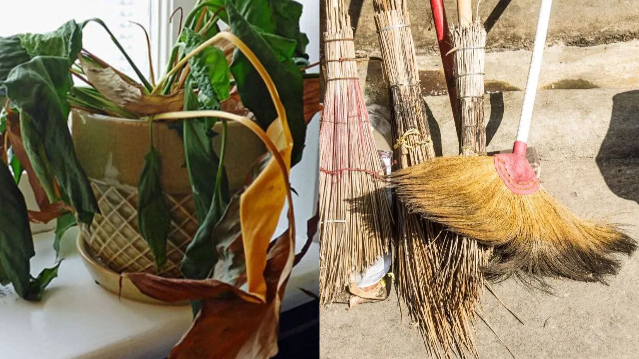 જૂની, તૂટેલી વસ્તુઓ ઘરમાં ન રાખો: નવા વર્ષમાં, તમારે ઘરમાં કોઈપણ તૂટેલી કે ખરાબ વસ્તુઓ ન રાખવી જોઈએ. એવું કહેવાય છે કે, આવી વસ્તુઓને ઘરમાં રાખવાથી નકારાત્મકતા વધે છે.