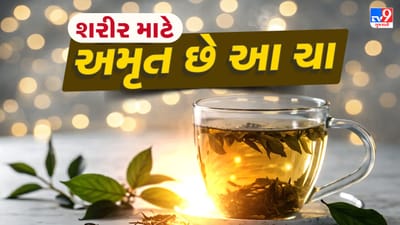 ભારતીય રસોઈમાં તમાલપત્રનું વિશેષ સ્થાન છે. સામાન્ય રીતે લોકો તેને બિરયાની કે શાકમાં સુવાસ લાવવા માટે વાપરે છે, પરંતુ તેની ઉપયોગિતા માત્ર સ્વાદ પૂરતી સીમિત નથી. તમાલપત્રથી સ્વસ્થ હર્બલ ચા પણ તૈયાર કરી શકાય છે, જે સ્વાદ અને આરોગ્ય બંનેનું સુંદર સંયોજન છે. લગભગ દરેક ઘરમાં સરળતાથી મળી જતો  આ મસાલો તેની કુદરતી સુગંધ અને ઔષધીય ગુણોથી અનેક તકલીફોમાં રાહત આપે છે. તમાલપત્રની ચા એકાદ નહીં, પરંતુ અનેક આરોગ્યલાભો પ્રદાન કરે છે.
