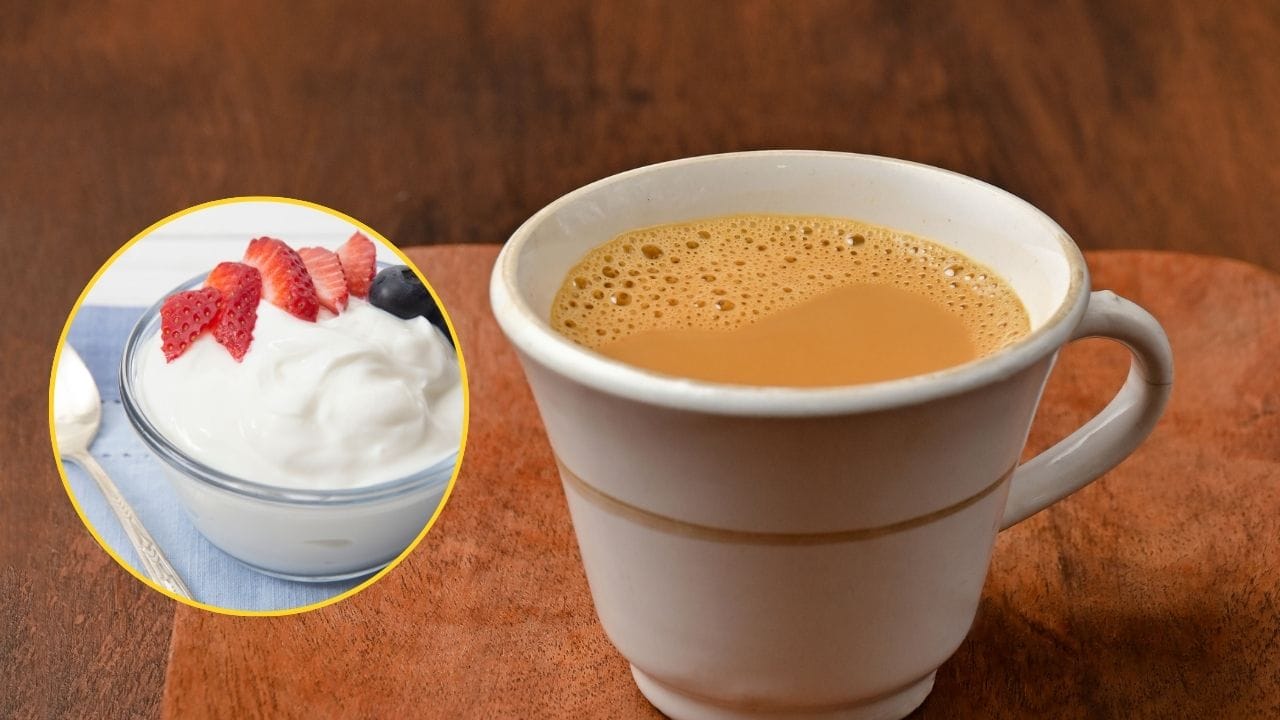 ચા અને દહીંનું સંયોજન શરીર માટે અત્યંત હાનિકારક માનવામાં આવે છે. ચા ગરમ તાસીર ધરાવે છે, જ્યારે દહીં ઠંડી તાસીરવાળું છે. બંનેને સાથે લેવાથી પાચનતંત્રમાં અસંતુલન થઈ પેટમાં બળતરા, ગેસ અને ફૂલવાનું જોખમ વધી જાય છે. તેથી ચા સાથે પરાઠા-દહીં લેવાની આદત તાત્કાલિક બંધ કરવી.