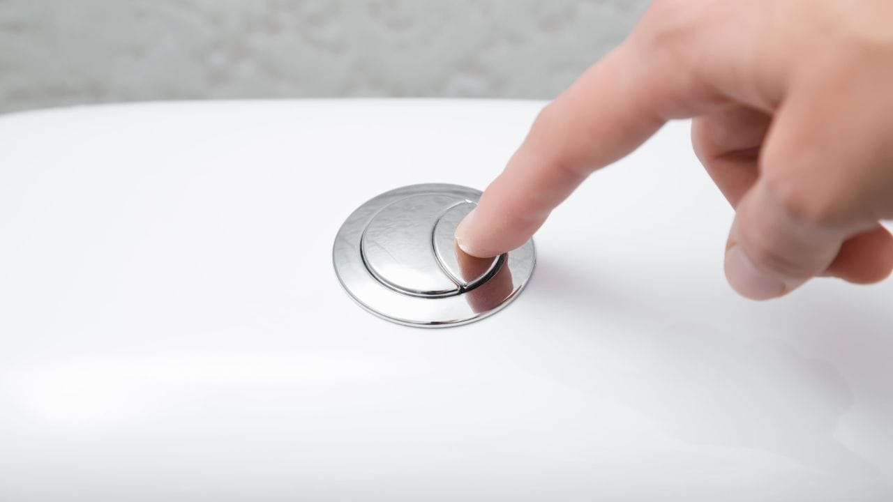 ફ્લશમાં રહેલા બે બટનને “ડ્યુઅલ ફ્લશ સિસ્ટમ” કહેવામાં આવે છે. આ સિસ્ટમનો મુખ્ય હેતુ છે જરૂર મુજબ પાણી છોડવું અને પાણીનો બગાડ અટકાવવો.