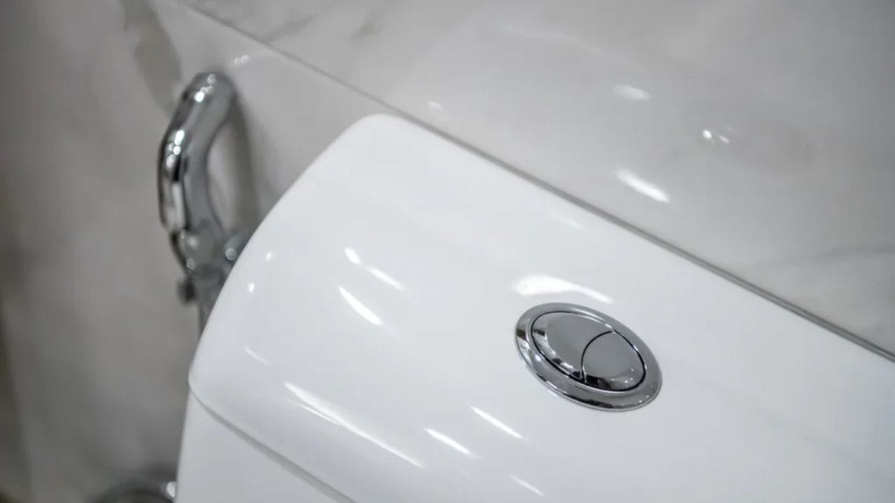 ઘણા લોકો અજાણતામાં બંને બટન એકસાથે દબાવે છે. એવું કરવાથી જરૂર કરતાં વધુ પાણી બહાર નીકળી જાય છે એટલે પાણીનો બગાડ થાય છે. તેથી પરિસ્થિતિ મુજબ યોગ્ય બટનનો પસંદગી કરીને જ ફ્લશ કરવું જોઈએ.