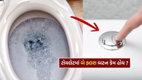 ટોયલેટમાં બે ફ્લશ બટન કેમ હોય છે? જાણી લો