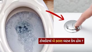 Toilet Flush : ટોયલેટમાં બે ફ્લશ બટન કેમ હોય છે? તમે નહીં જાણતા હોવા તેનું કારણ