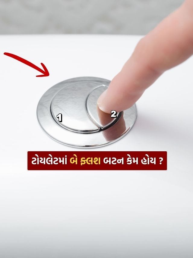 ટોયલેટમાં બે ફ્લશ બટન કેમ હોય છે, તમે જાણો છો..?