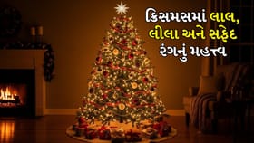 Christmas 2025: ક્રિસમસ માટે લાલ, લીલો અને સફેદ રંગનું મહત્ત્વ