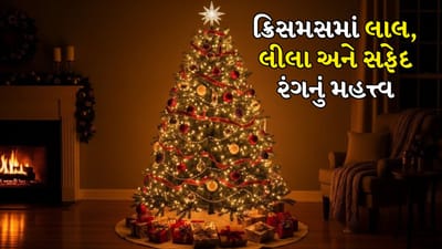 Christmas 2025 Colors: ખ્રિસ્તીઓ નાતાલની ઉજવણી ખૂબ જ ઉત્સાહથી કરે છે. આ તહેવાર દર વર્ષે 25 ડિસેમ્બરે વિશ્વભરમાં ઉજવવામાં આવે છે. ખાસ સજાવટ અને ભેટ-સોગાદ એ નાતાલની પરંપરાનો એક મહત્વપૂર્ણ ભાગ છે, જેનું પાલન અન્ય ધર્મોના લોકો પણ કરે છે.