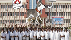 તલાટી મંત્રીઓની, રખડતા શ્વાન પકડવાની કામગીરીનો અમલ નહીં કરવાની ચીમકી