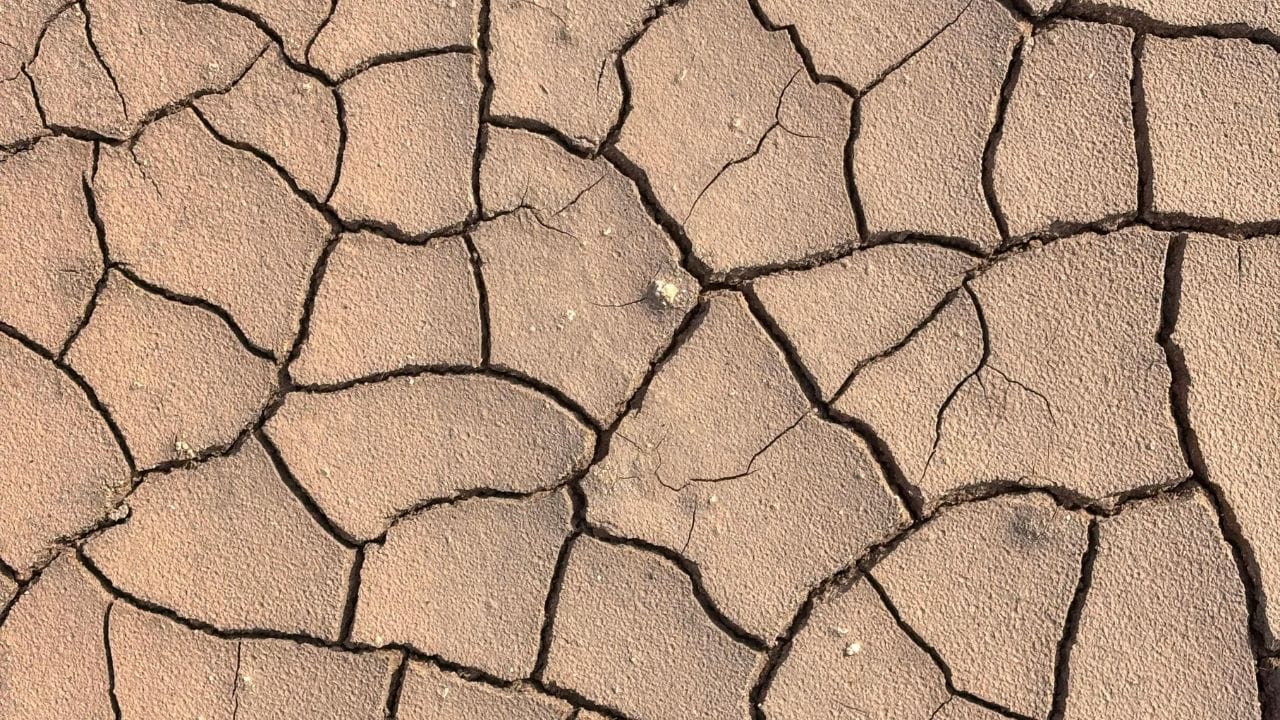 જો તમને શિયાળામાં વજાઈનાની આસપાસ ખંજવાળ કે ડ્રાયનેસ છે. તો તમે વજાઈનાની આસપાસના વિસ્તારમાં મોશ્ચરાઈઝર લગાવી શકો છો.