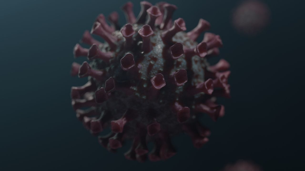 નોંધ : અહીં આપવામાં આવેલી માહિતી ફક્ત આપની જાણકારી માટે છે. કોઈ પણ ઈલાજ કરતાં પહેલા કે,અમલમાં લેતા પહેલા નિષ્ણાતોની સલાહ લેવી જરુરી છે. ( all photo:canva)