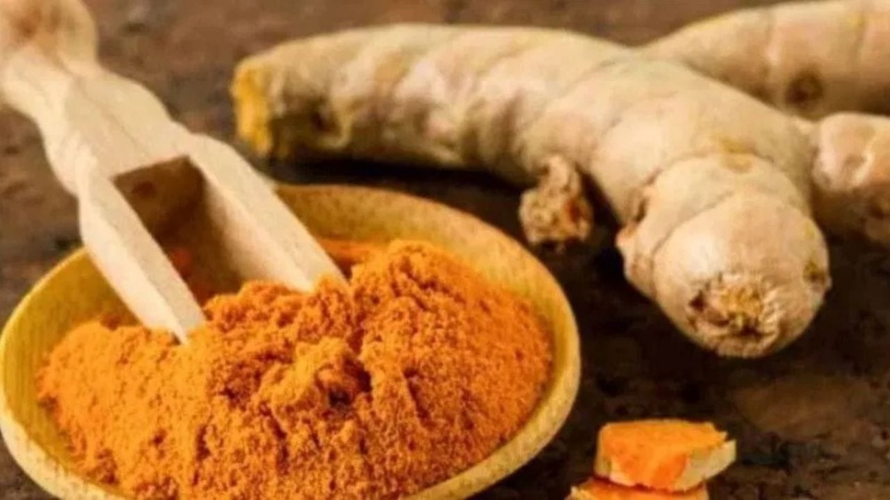 વાસ્તુ શાસ્ત્રમાં હળદર સમૃદ્ધિ, સુખ અને શુભતાનું પ્રતીક ગણવામાં આવે છે. તેથી એવું કહેવાય છે કે સૂર્યાસ્ત પછી કોઈને હળદર આપવી અશુભ માનવામાં આવે છે, જેનાથી ઘરમાંથી સુખ અને સમૃદ્ધિની ઊર્જા નબળી પડી શકે છે અને દેવી લક્ષ્મીની કૃપા ઘટી શકે છે.