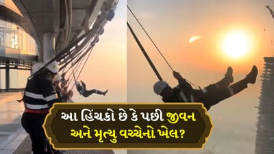 આટલી ઊંચાઈએ એડવેન્ચર હિંચકો…શ્વાસ અટકાવી દે તેવો સ્ટંટ!, video જોતાં લોકોના પણ શ્વાસ થંભ્યા