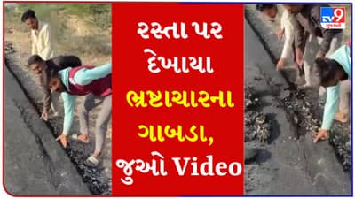 Viral Video: વિકાસ ગાંડો થઈ ગયો, એક દિવસ પહેલા બનેલો રસ્તો ચિક્કીની જેમ ઉખડ્યો, યુઝર્સનો ગુસ્સો સાતમા આસમાને