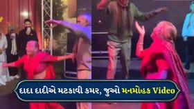 ઉંમર ફક્ત નંબર! દાદા–દાદીનો એનર્જેટિક ડાન્સ ઈન્ટરનેટ પર છવાઈ ગયો