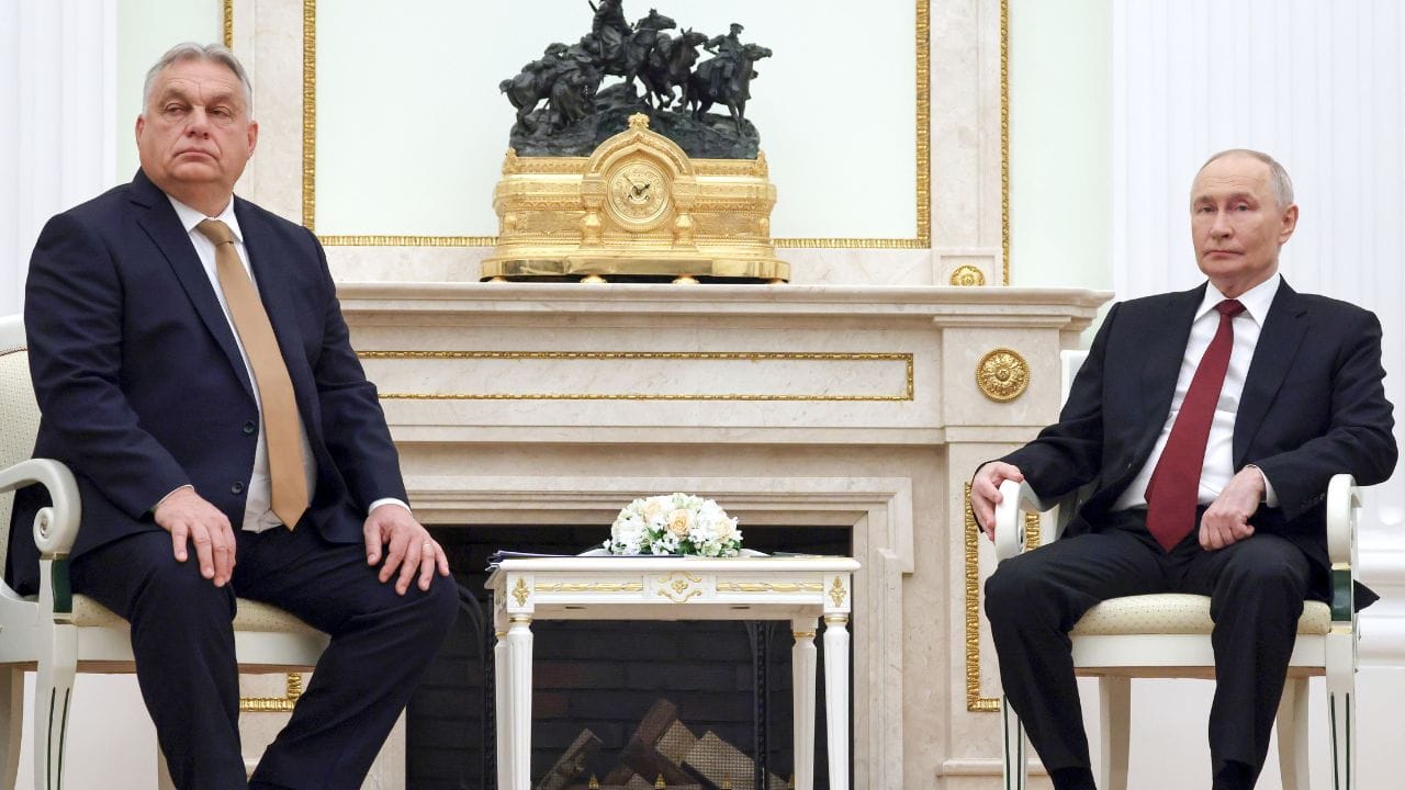 Vladimir Vladimirovich Putin family tree (9)