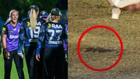 બોલ પિચમાં ઘૂસી ગયો અને મેચ થઈ ગઈ રદ