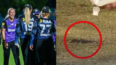 બોલ પિચમાં ઘૂસી ગયો અને મેચ થઈ ગઈ રદ,  WBBL મેચમાં બની વિચિત્ર ઘટના