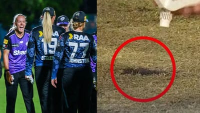 બોલ પિચમાં ઘૂસી ગયો અને મેચ થઈ ગઈ રદ,  WBBL મેચમાં બની વિચિત્ર ઘટના