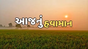 અનેક વિસ્તારોમાં હાડ થીજવતી ઠંડીની કરી આગાહી