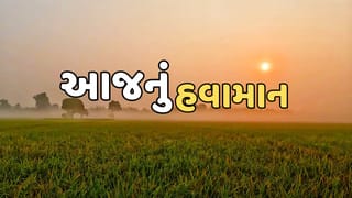 આજનું હવામાન : ગુજરાતીઓ સ્વેટર કાઢીને તૈયાર રાખજો, અનેક વિસ્તારોમાં હાડ થીજવતી ઠંડીની કરી આગાહી, જુઓ Video