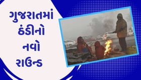 ગુજરાતમાં ગાત્રો થીજવતી ઠંડીની આગાહી
