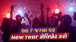 વર્ષ 2025 ને ખાસ બનાવવા તૈયાર છો? નાતાલ અને ન્યૂ યર વેકેશનમાં ફરવા જવું હોય, તો આ 7 જગ્યા તમારા માટે જ છે