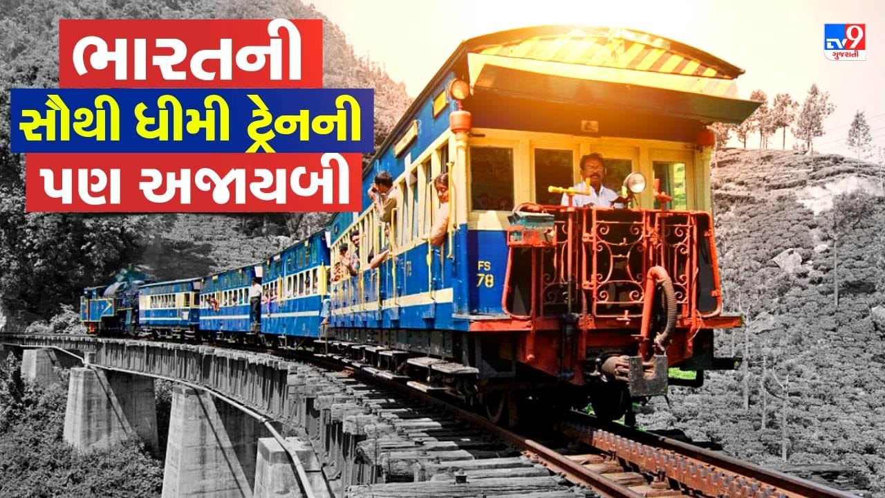 આધુનિક સમયમાં વંદે ભારત જેવી ઝડપી ટ્રેનો દોડતી જોવા મળે છે, ત્યારે પણ એક એવી ટ્રેન છે જે આપણને ભૂતકાળની શાંત યાદોમાં લઈ જાય છે. તેની ગતિ એટલી ધીમી છે કે રસ્તે ચાલતો સાયકલ સવાર પણ ઘણીવાર તેને પાછળ છોડી દે. અમે અહીં મેટ્ટુપલયમથી ઊટી સુધી દોડતી નીલગિરિ પેસેન્જર ટ્રેનની વાત કરી રહ્યા છીએ, જે પોતાની અનોખી સફર માટે વિશ્વભરમાં જાણીતી છે. ( Credits: Getty Images )