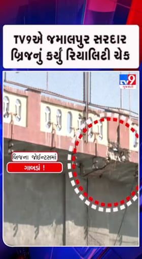 શહેરના અનેક બ્રિજની સ્થિતિ ચિંતાજનક