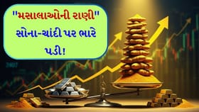 3 મહિનામાં 35% ભાવ વધ્યા! હળદરે સોના-ચાંદી જેવી ધાતુને પણ પાછળ છોડી