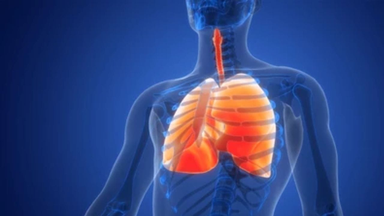 air pollution lung health tips