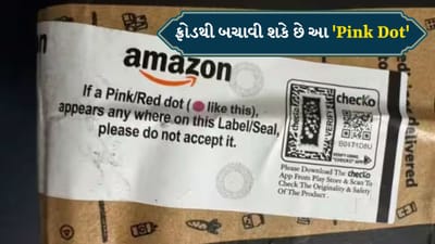 ઓનલાઈન સામાન મંગાવતા લોકો માટે ખાસ, ફ્રોડથી બચાવી શકે છે આ ગુલાબી ટપકાં, બસ કરવું પડશે આ કામ