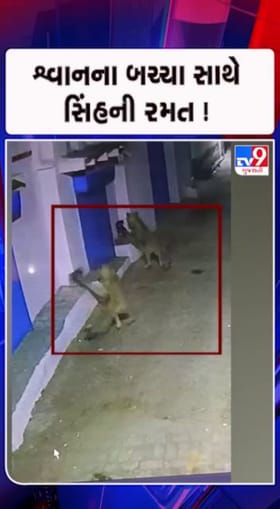 કોવાયા ગામમાં અનોખા દ્રશ્યો