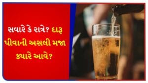 Interesting Fact : દરેક પળને બનાવો ખાસ ! દારૂ પીવાની અસલી મજા ક્યારે આવે ? સવારે કે રાત્રે ? બીયર પીવાનો પરફેક્ટ સમય કયો?
