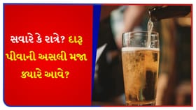 સવારે શાંતિથી કે રાત્રે મોજમસ્તીથી... દારૂ પીવાની મજા ક્યારે આવે?