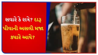 Interesting Fact : દરેક પળને બનાવો ખાસ ! દારૂ પીવાની અસલી મજા ક્યારે આવે ? સવારે કે રાત્રે ? બીયર પીવાનો પરફેક્ટ સમય કયો?