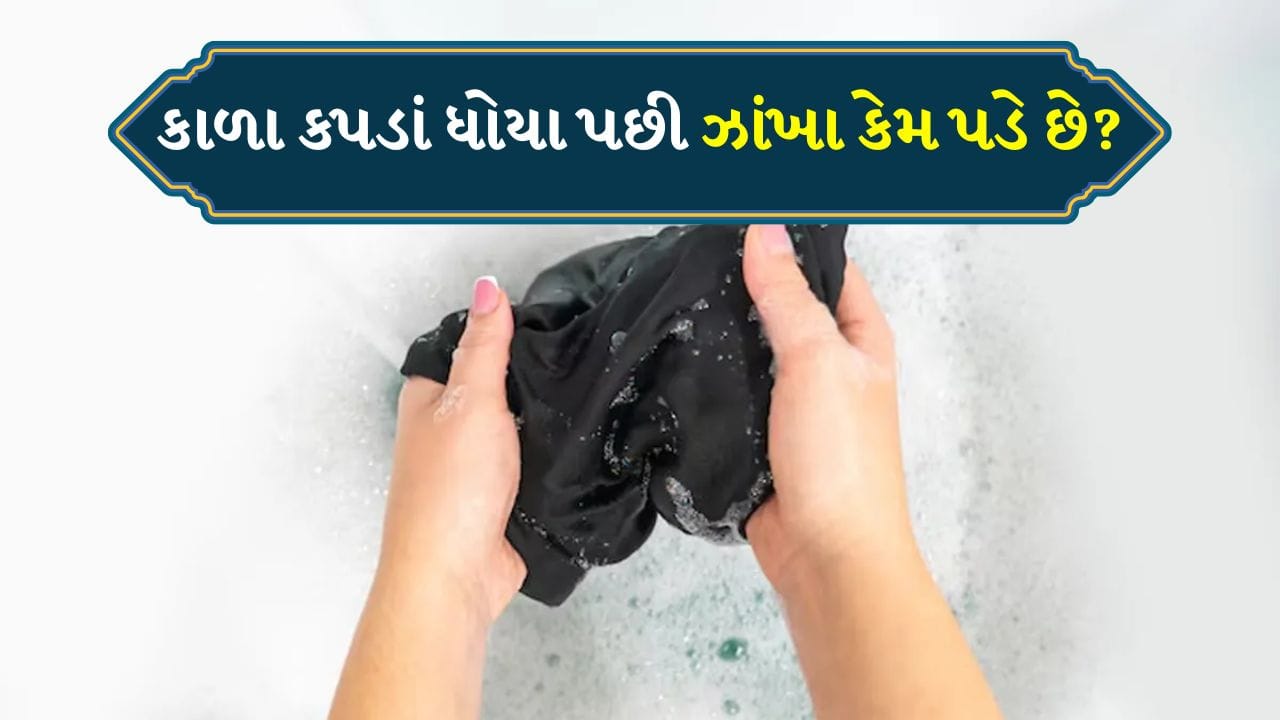 સફેદ કપડાં ઝાંખા પડતા અટકાવવા માટે આપણે ઘણી ટ્રિક્સનો ઉપયોગ કરીએ છીએ. પરંતુ શું તમે ક્યારેય વિચાર્યું છે કે તમારા કાળા કપડાં જેમ કે જીન્સ, ટી-શર્ટ, સ્વેટશર્ટ અને શર્ટને પણ ખાસ કાળજીની જરૂર છે? કારણ કે આપણામાંથી ઘણા કાળા કપડાં પહેરવાનું પસંદ કરે છે. 
