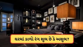 વાસ્તુ મુજબ કાળો રંગ શુભ છે કે અશુભ? જાણો ઘરમાં ક્યાં ના કરવો જોઈએ