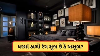 વાસ્તુ મુજબ કાળો રંગ શુભ છે કે અશુભ ? જાણો ઘરમાં ક્યાં ના કરવો જોઈએ