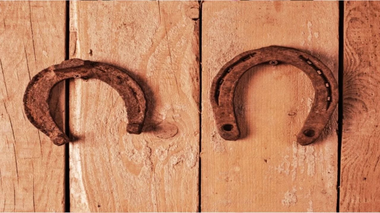 ઘોડાની નાળના ફાયદા: વાસ્તુ શાસ્ત્ર અનુસાર ઘોડાની નાળને સૌભાગ્ય, સંપત્તિ અને સમૃદ્ધિનું પ્રતીક માનવામાં આવે છે. ખાસ કરીને કાળા ઘોડા દ્વારા પહેરવામાં આવતી ઘોડાની નાળ શનિના નકારાત્મક પ્રભાવોને ઘટાડવા માટે શુભ માનવામાં આવે છે.